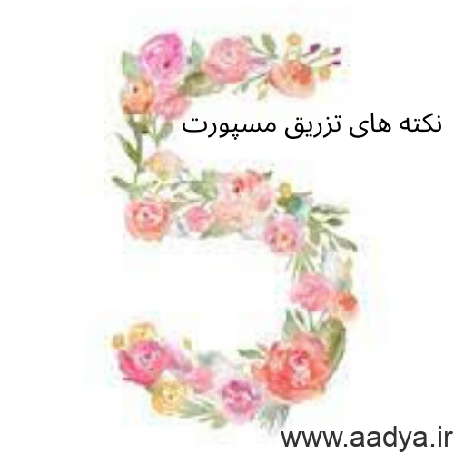 5 نکته در تزریق مسپورت ایرانی